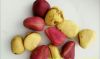 kola nut, kernels