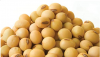 Soybeans | High Qualit...