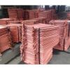 Copper Cathode 99.99%