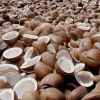 Good Quality Coconut C...