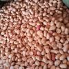 Peanut ,Dried Kernel P...