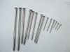 Galvanized Common Nails