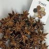 dried star anise hot selling product raw material lang son aniseed viet nam herbs and spicy high quality