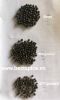 DRY AND WHOLE PEPPER ORIGIN FROM VIETNAM - BLACK PEPPER ALL GRADE 