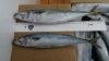 Frozen horse mackerel ...