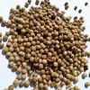 Muntok White Pepper Gr...