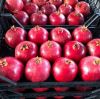 Fresh Pomegranates