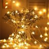 100 LED 49 FT Star Str...
