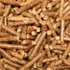 Bio Fuel Wood Pellet / Wood Chips 