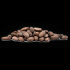 Cocoa beans for sale