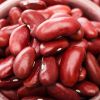 Light/Red Speckled Sugar Beans in Premium Quality for Sale
