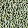 Green mung Beans
