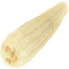 Egyptian Loofah Sponge