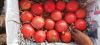 fresh Indian pomegranate