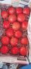 fresh Indian pomegranate