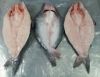 WE SUPPLY PANGASIUS WE...