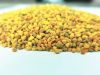 high protein rape flower bee pollen wholesale price