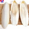 Dried Cuttlefish Bone/...