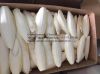 Pure Cuttlefish Bone/ Large Cuttlebone for Birds Parrot Cuddle Bone