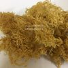  HOT NEW SEAWEED FROM VIETNAM/ DRIED SEAMOSS/ IRISH SEAWEED