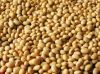 nigeria quality organi...