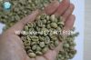 Vietnam Robusta green ...