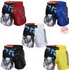 Box, Kickbox and Muay-Thai T-shirts, shorts, boxing gears  digital