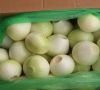 onion