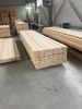 conifer lumber