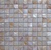 mother of pearl shell ...