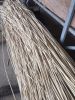 Dried manau rattan pole- natural rattan pole for furniture (WS+84777699587)