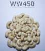 Cashew Nut Kernel - si...