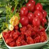 Candied Preserved Cher...