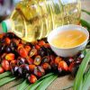 crude palm kernel oil ...