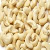 Raw Cashew Nuts in she...