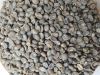 Arabica Coffee Beans - JAVA IJEN