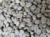 Arabica Coffee Beans - BAJAWA