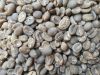 Arabica Coffee Beans - JAVA IJEN