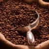 Robusta Coffee/Arabica...