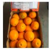 Fresh Citrus Fruit/ Fr...