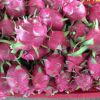 FRESH DRAGON FRUIT HIG...