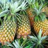 FRESH DELICIOUS PINEAP...