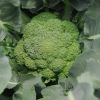 Hot Sale Fresh Broccol...