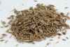medical herbs