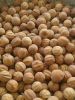 Dried yellow lemon med...