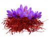 Iranian Saffron