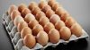 Fresh chicken brown and white eggs