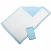 Dignity Sheet (Disposa...