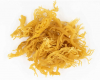 Irish Sea Moss Organic Made In Vietnam Whatsapp 84348545435