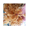 Irish Sea Moss Organic Made In Vietnam Whatsapp 84348545435